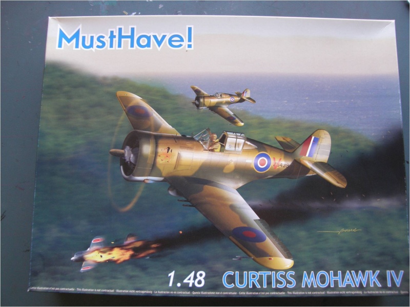 curtiss H75 - Curtiss H75A-4 -   Musthave 1 /48   - GC II/5 Lafayette  - en maintenance  Prysen13