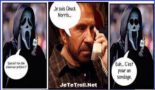 Chuck Norris Facts 31162310