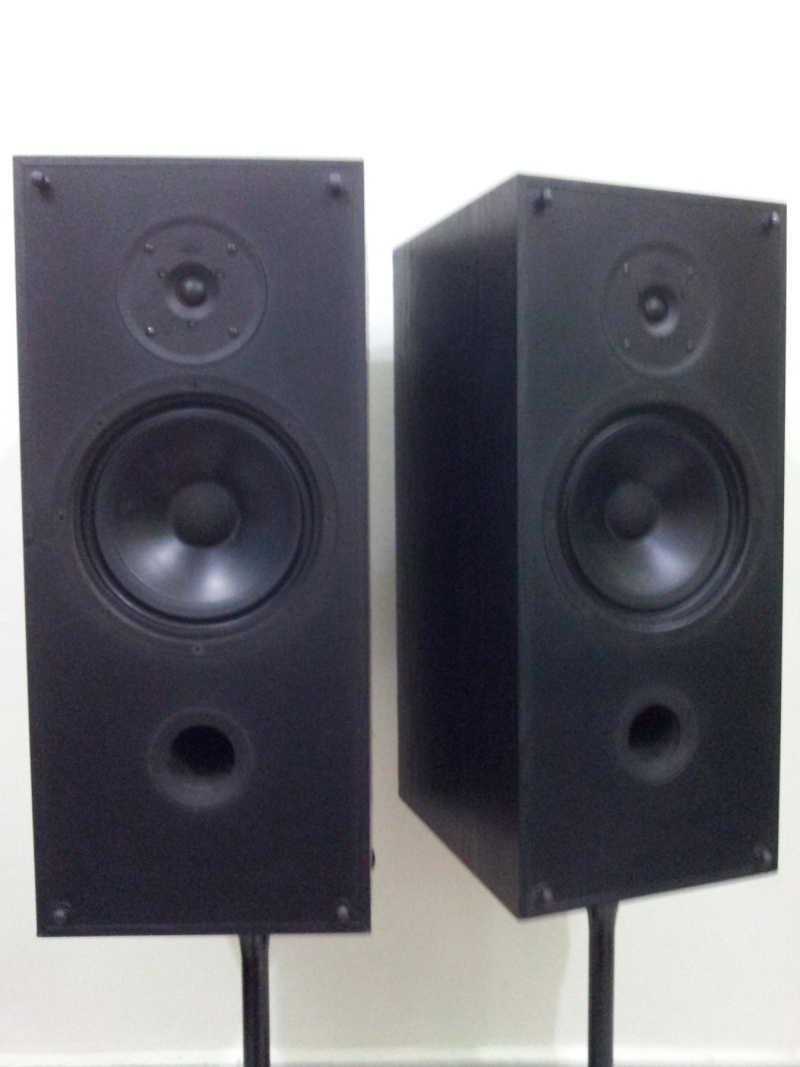 PSB 500 Canada Tower Speaker ( sold) 20150316