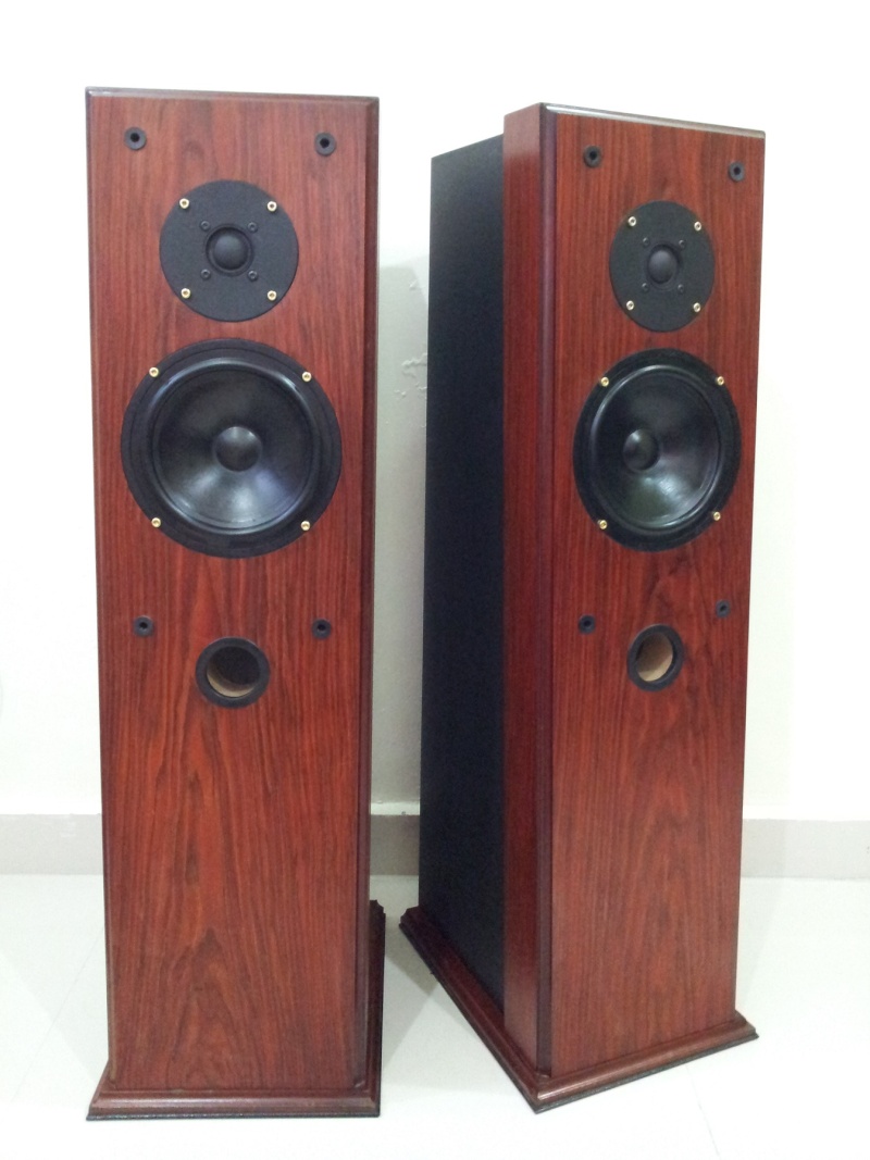 Ruark Talisman II England Hand Crafted Floorstanding Speaker ( Sold) 20150475