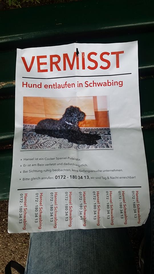 Englischer Garten in München - Hund entlaufen!!!! Schwab10