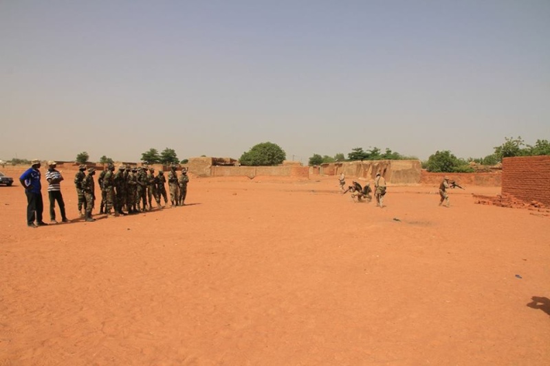 Armée Malienne / Armed and Security Forces of Mali - Page 11 1178