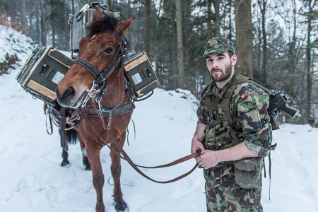 Animaux soldats - Page 5 12114