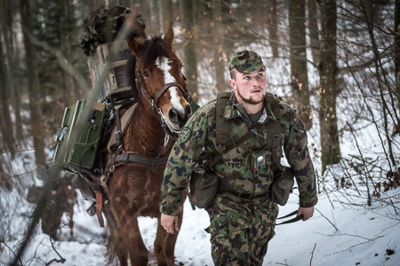 Animaux soldats - Page 5 1478