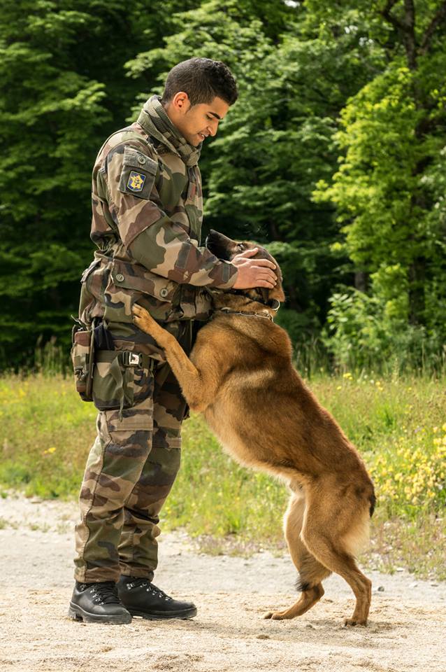 Animaux soldats - Page 5 8112