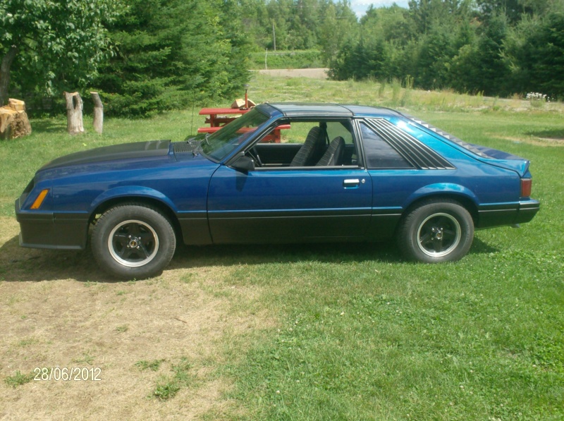 La Mustang 1981 de mon fils Cobra_10