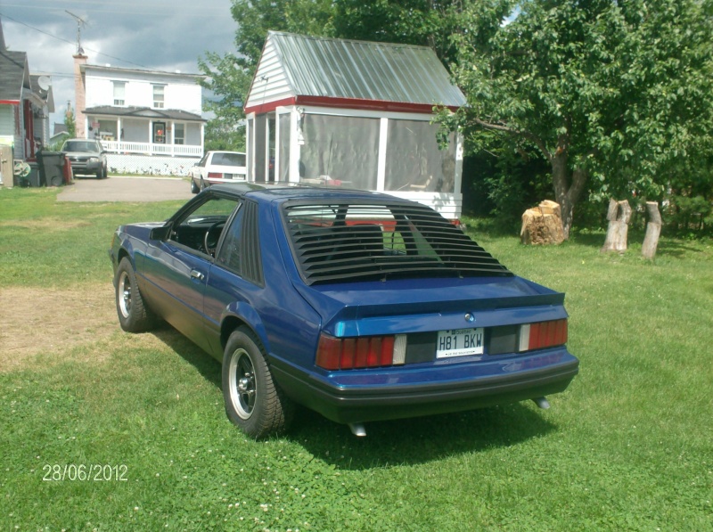 La Mustang 1981 de mon fils Cobra_11