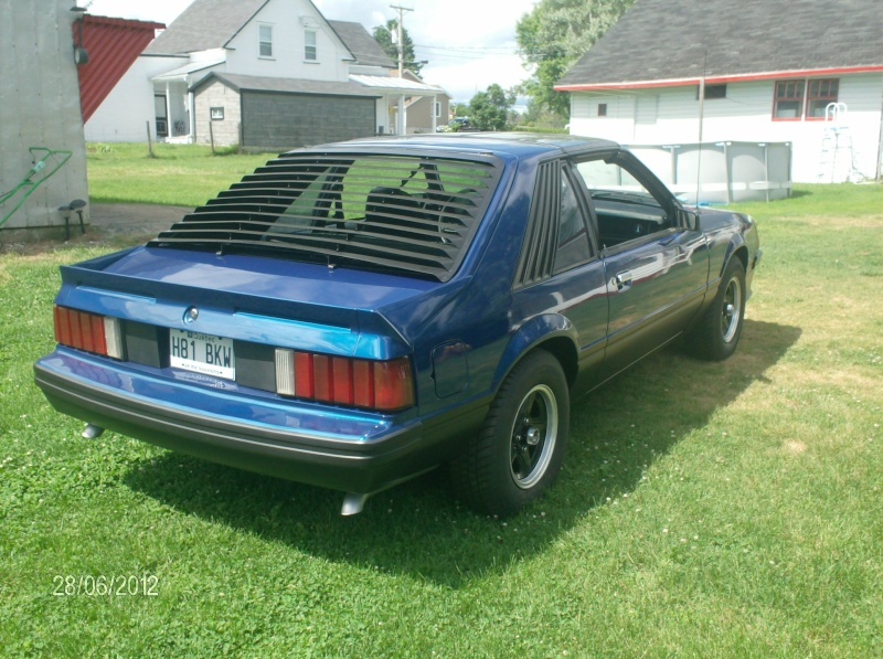 La Mustang 1981 de mon fils Hpim4711