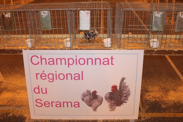 Exposition avicole de Verdun 2015 Img_5051