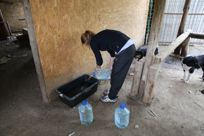 Jeudi 30 avril 2015 au refuge: friandises croquettes et eau... Hx9a9521