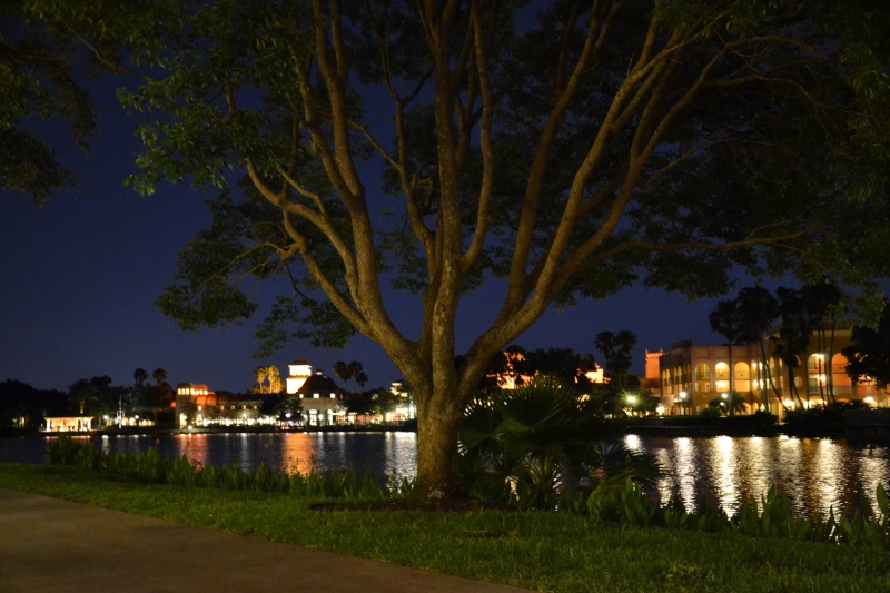 Disneymoon : Walt disney world & Disney cruise line mai 2015 Dsc_0011