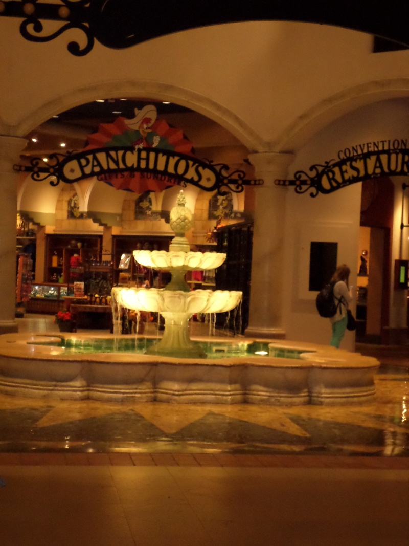 Disneymoon : Walt disney world & Disney cruise line mai 2015 Sam_0916