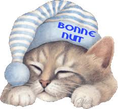 Bonne nuit les petits !! - Page 6 Nuit1611