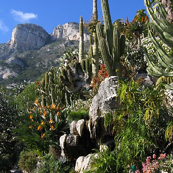 J'aime les jardins - Page 2 Jardin11