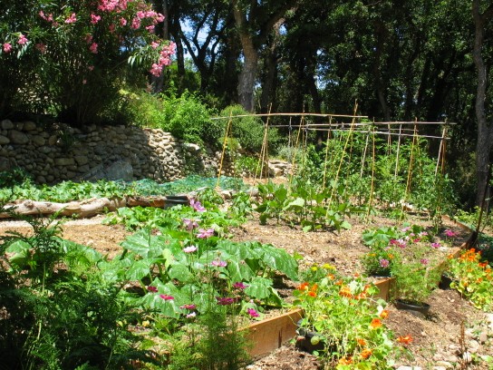J'aime les jardins - Page 2 Potage10