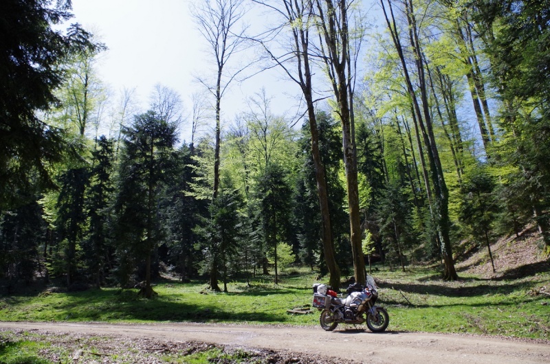 Bosnie et Herzégovine avril 2015, entre Terre et Bitume ! 5010