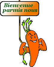 bonjour a tous Bienve13