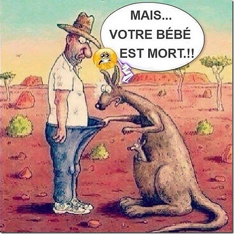 CONCOURS DE BLAGUES - Page 5 Humour10