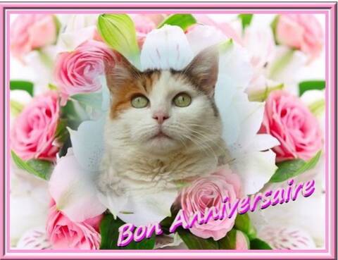 Joyeux Anniversaire Page 2