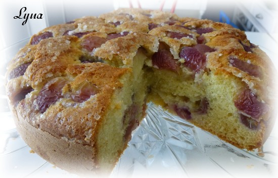 Gateau Italien A L Huile D Olive Et Raisins Frais Gateau Italien A L Huile D Olive Et Raisins Frais