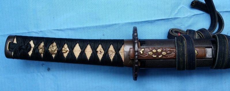 Wakizashi Eddo shinto (1615-1801) 20150537