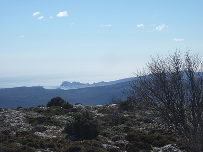 Massif de la Sainte-Baume (13 et 83)  Dscf5844