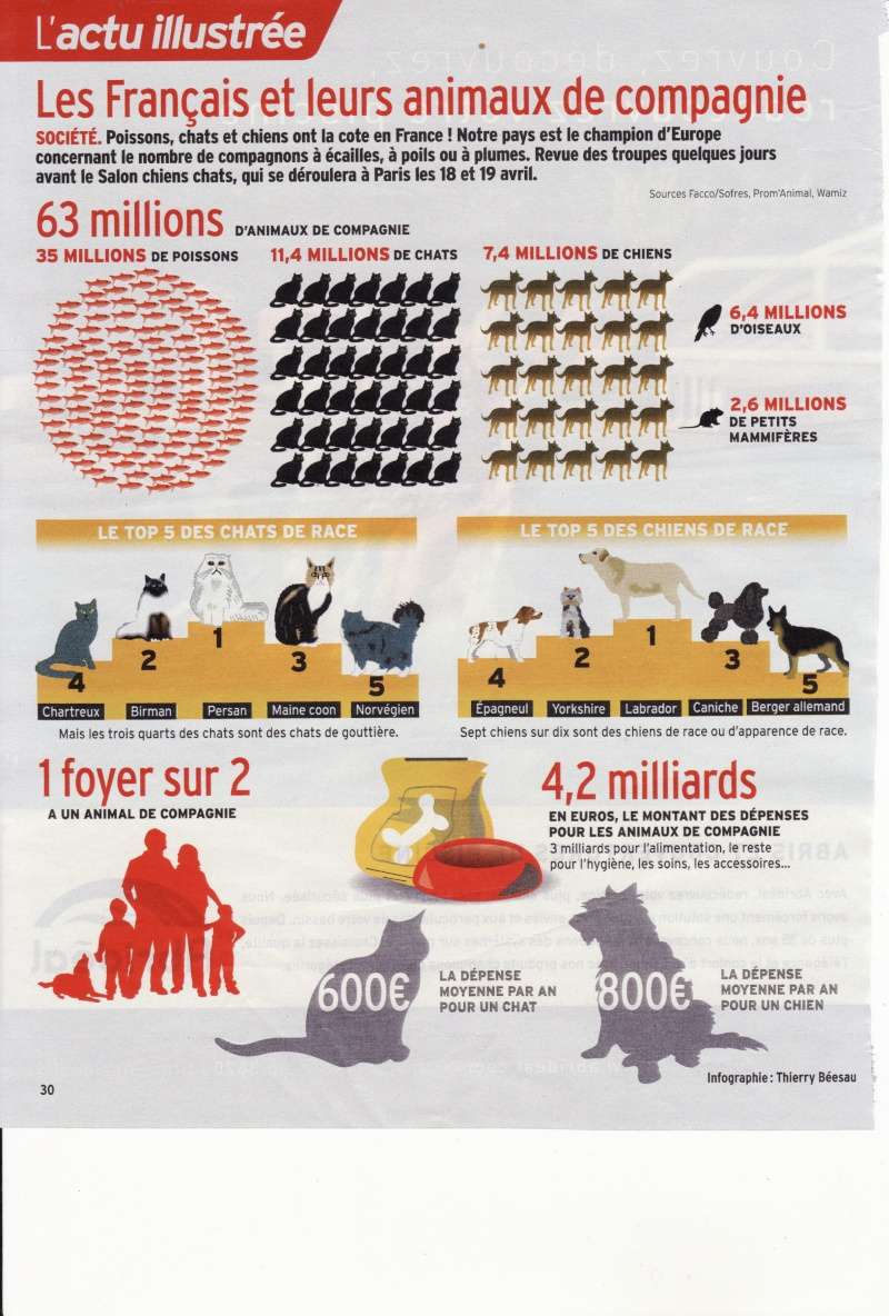 Source Télé 7 jours : Les Français et leurs animaux de compagnie Animau10