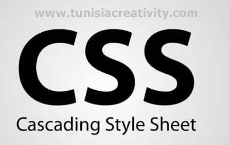 دورة تعلم لغة CSS - صفحة 2 Css_ca10