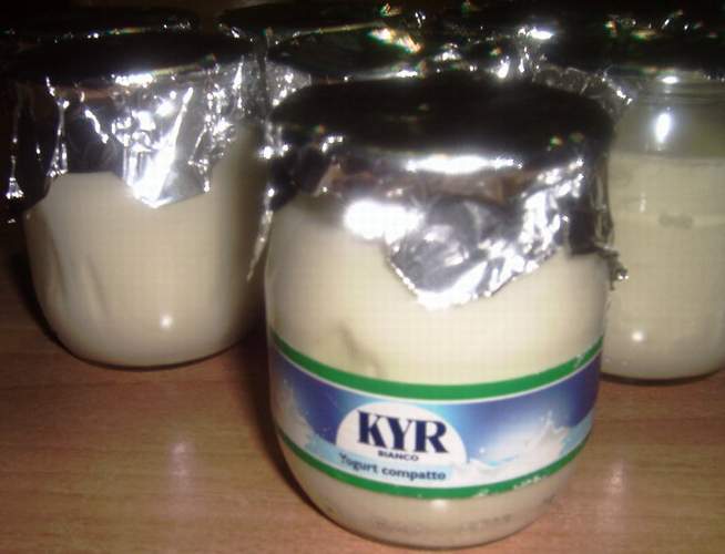 YOGURT FATTO IN CASA Kyr10