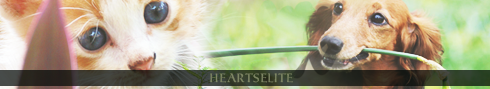 HeartsElite Hearts10