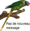 Pas de nouveaux messages