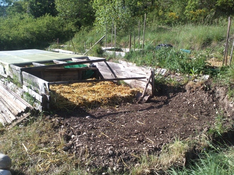 réalisation d'une petite serre en bois Img34110
