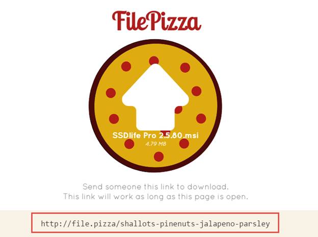 FilePizza: Chia sẻ file dung lượng lớn qua mạng nhanh và bảo mật nhất Filepi12
