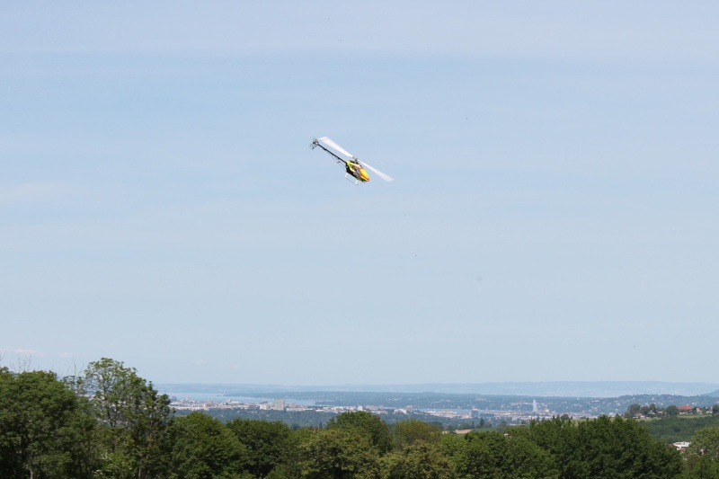 Barbecue, pilotage, soleil - 10 mai 2015 Img_6112