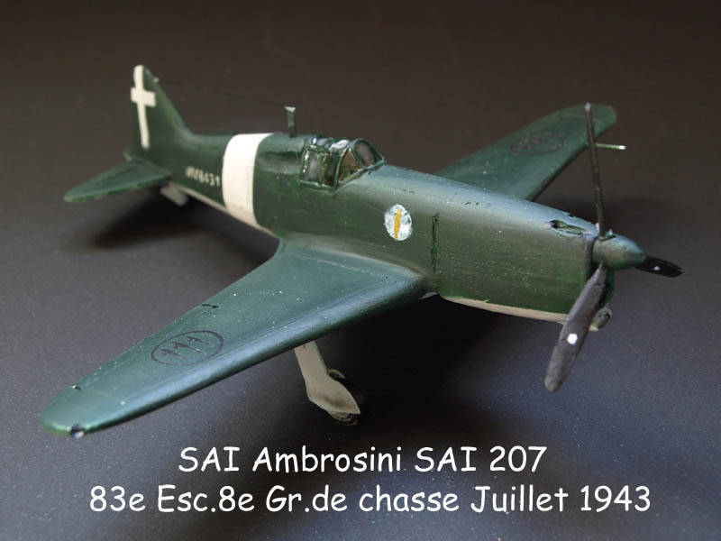 SAI Ambrosini SAI 207 Chasseur léger Italien S-01110