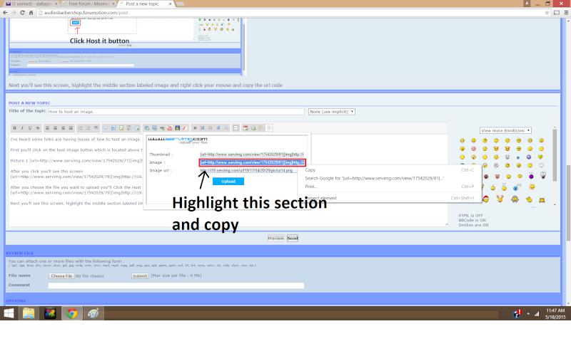 How to host an image. Pictur15