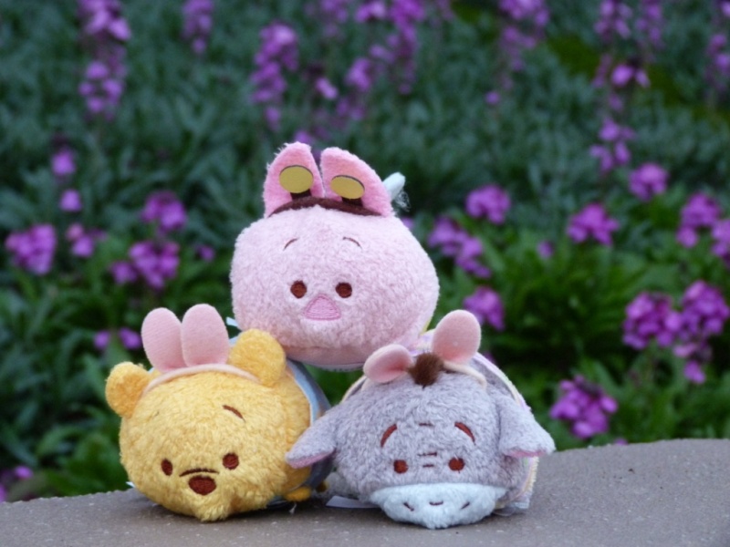 Peluches Tsum-Tsum - Page 28 P1370014