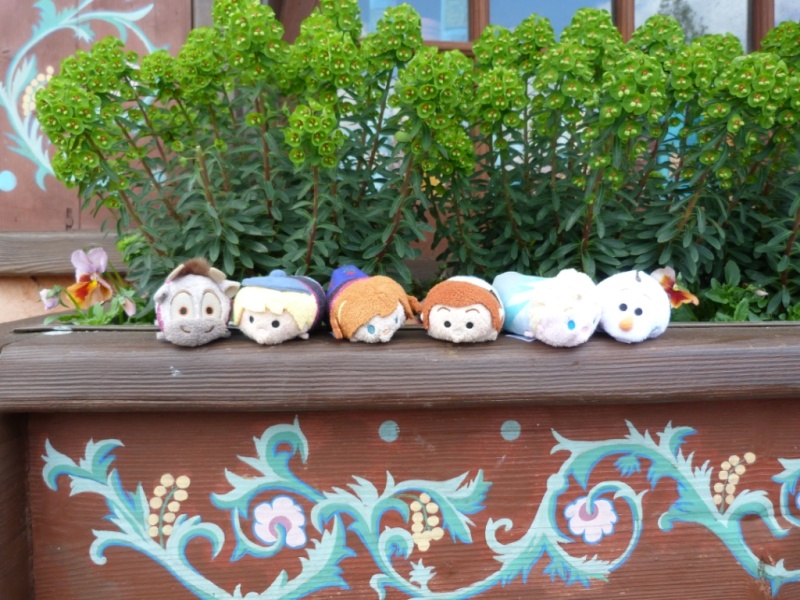 Peluches Tsum-Tsum - Page 35 P1370416