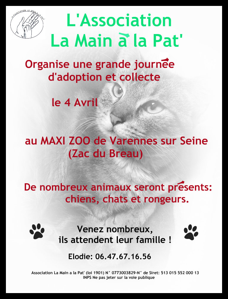 Journe adoption chez Maxi Zoo le 04/04/2015 Byryl411