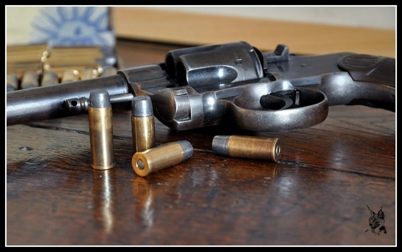 Nouveau venu : Colt 1895 en 41 LC Colt-210