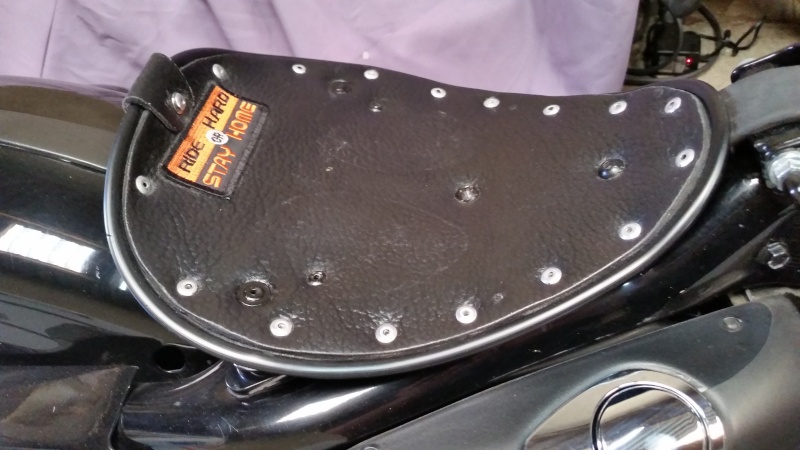 Nos Sportster et leurs modifs 20150411