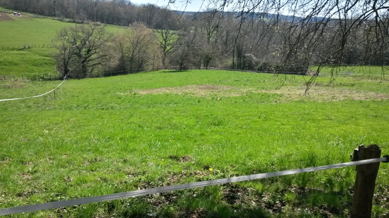 Place en pension pré Côtes d'Arey/Jardin Pry311