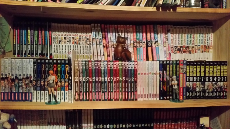 Collection - Vos collections d'otaku ! - Page 6 20150414