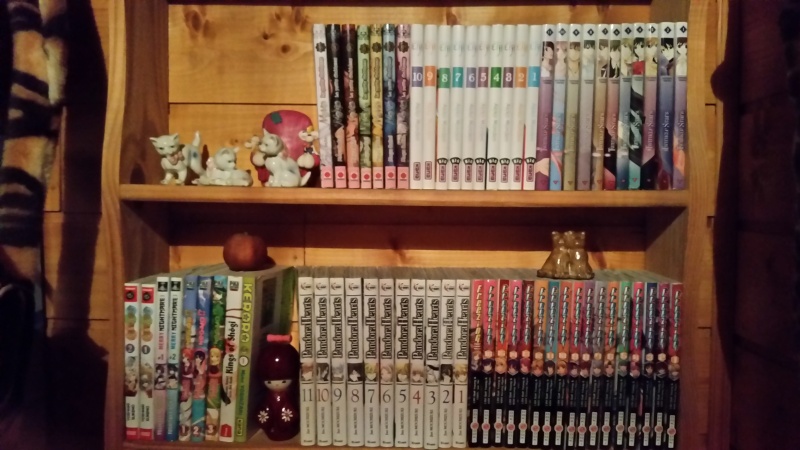 Collection - Vos collections d'otaku ! - Page 6 20150415