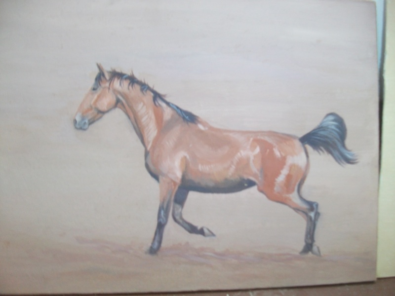 portrait de cheval Dscf0030