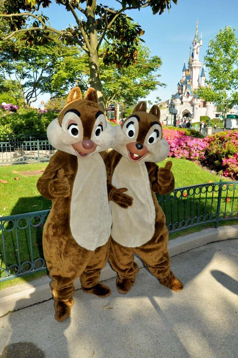 Photopass+ - Page 26 29184010