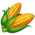 Poulailler cauchemardesque Corn_p12