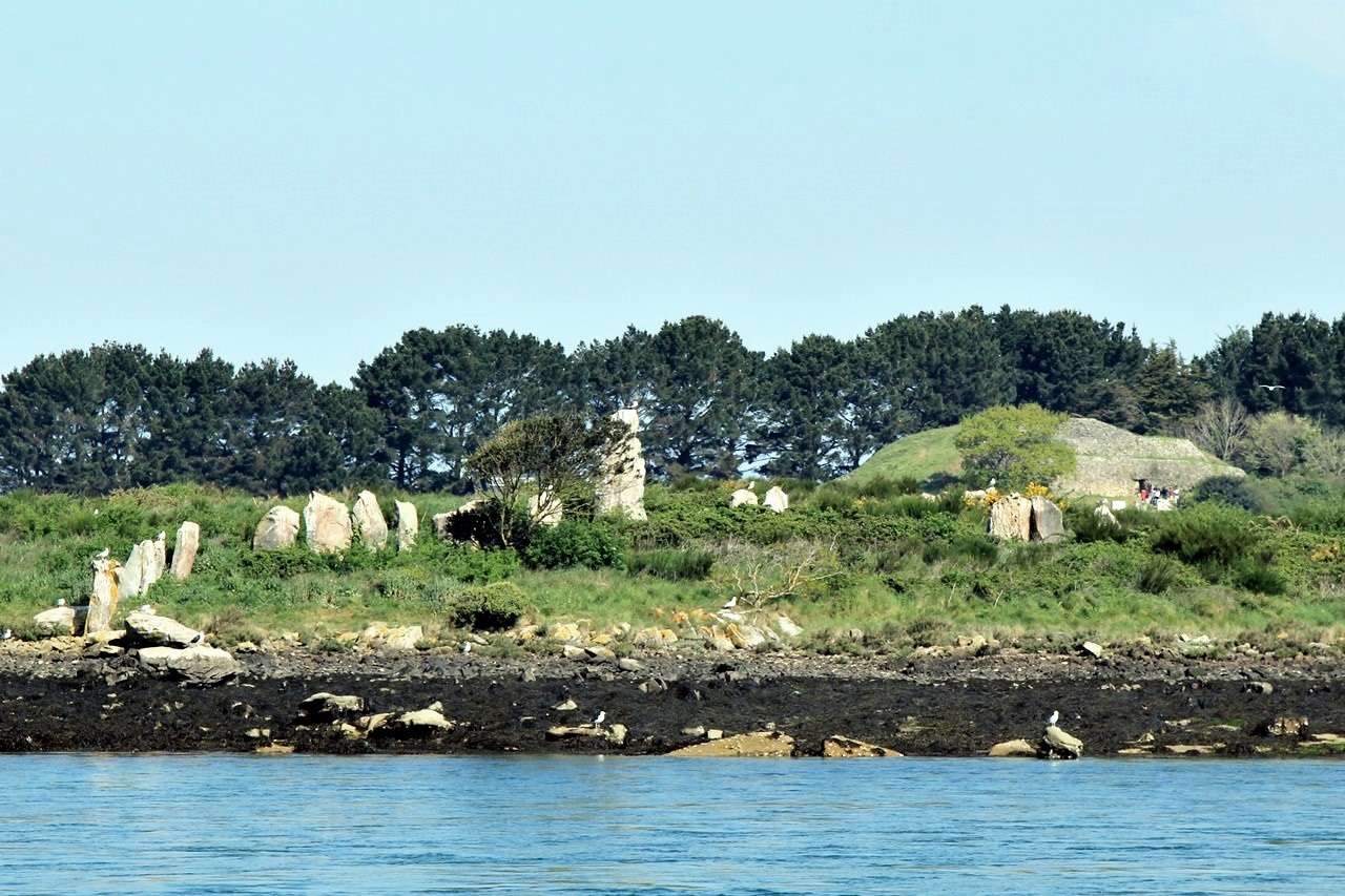 Port de Vannes & Golfe du Morbihan 21041518