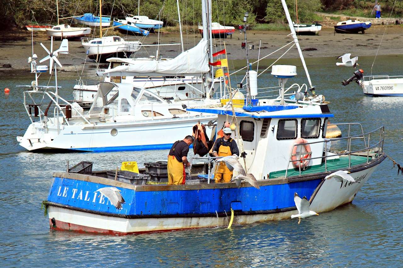 Port de Vannes & Golfe du Morbihan 21041526