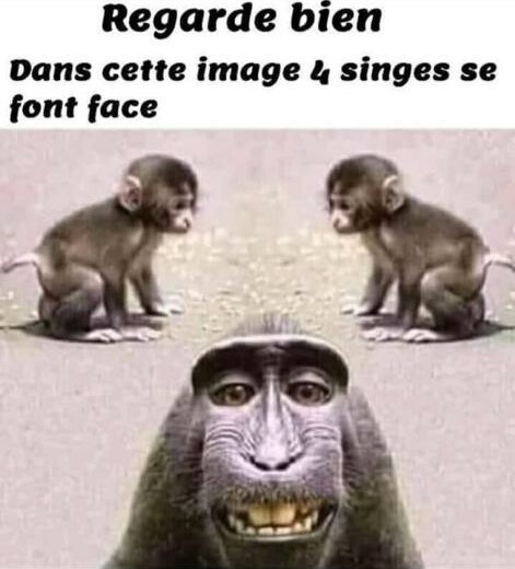 humour - Page 26 05a95610